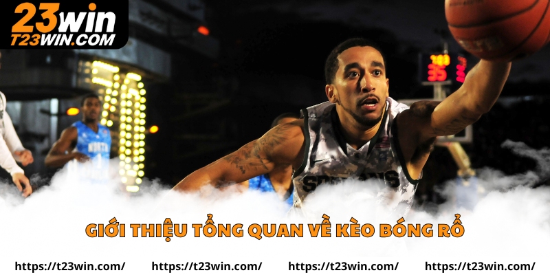Giới thiệu tổng quan về kèo bóng rổ